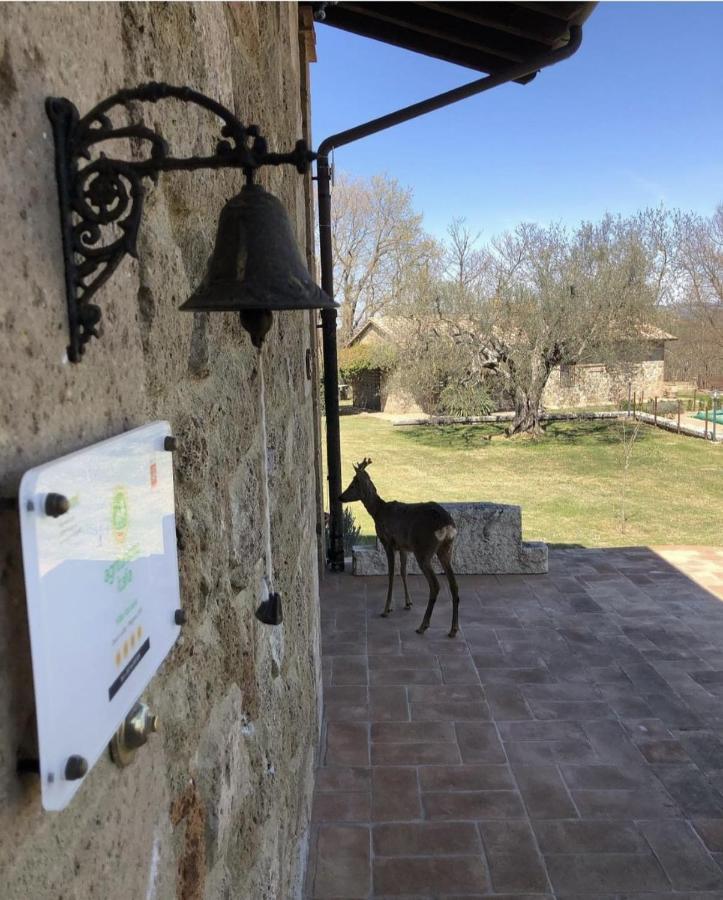 פיטיליאנו Agriturismo Eco-Bio Villa Vacasio מראה חיצוני תמונה