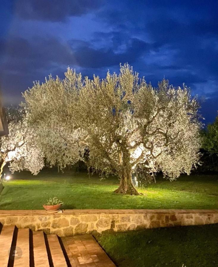 פיטיליאנו Agriturismo Eco-Bio Villa Vacasio מראה חיצוני תמונה