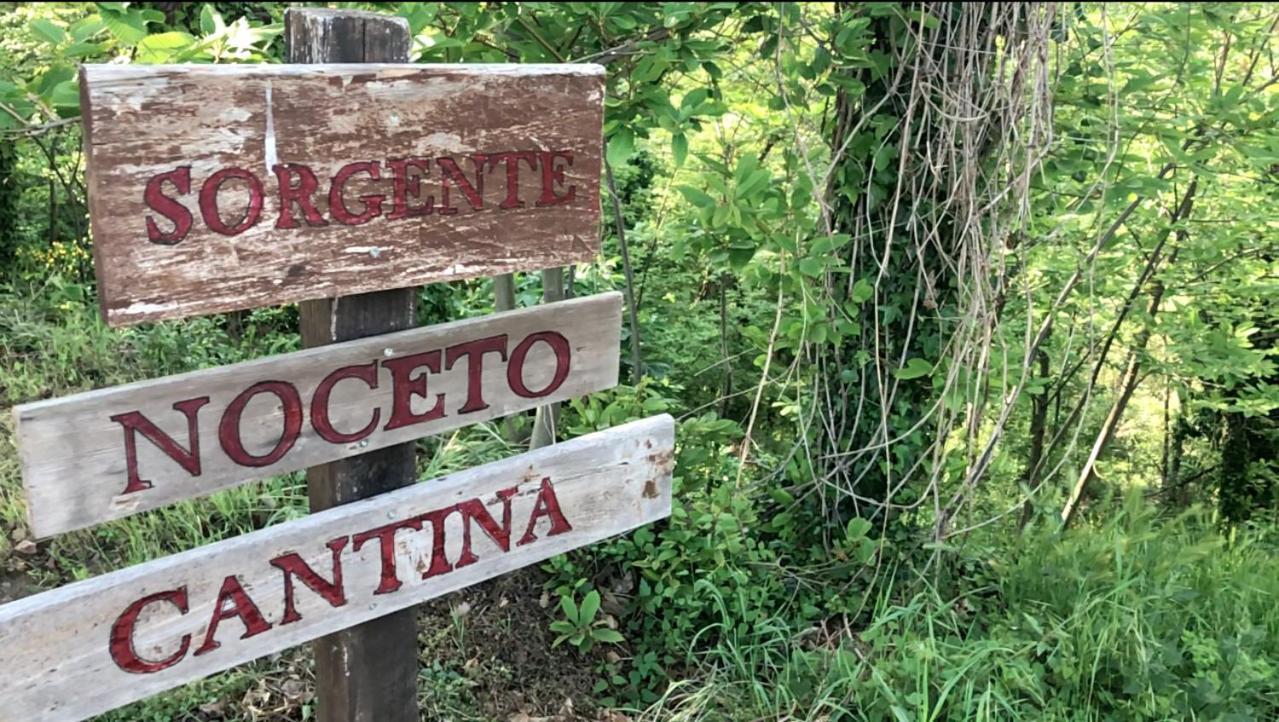 פיטיליאנו Agriturismo Eco-Bio Villa Vacasio מראה חיצוני תמונה