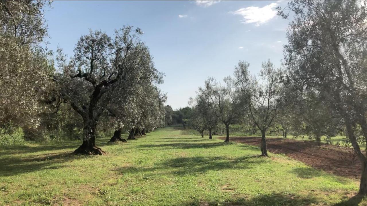 פיטיליאנו Agriturismo Eco-Bio Villa Vacasio מראה חיצוני תמונה